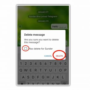 delete send message